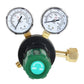 findmall  CGA 540 Oxygen Regulator for Welding Gas Gauge 145PSI Delivery Range FINDMALLPARTS